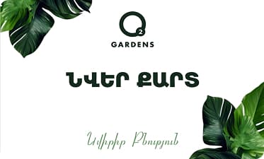 promo